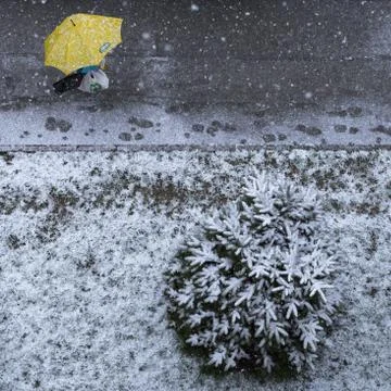 High angle view of person with yellow umbrella in winter time with snow Stock Photos