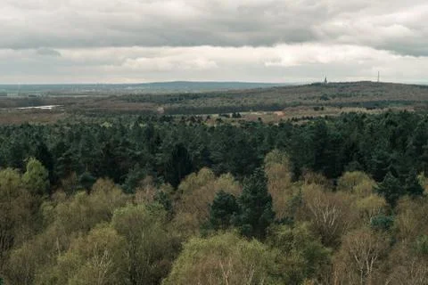High angle view on pine and deciduous forest with village on the horizon. Foto stock