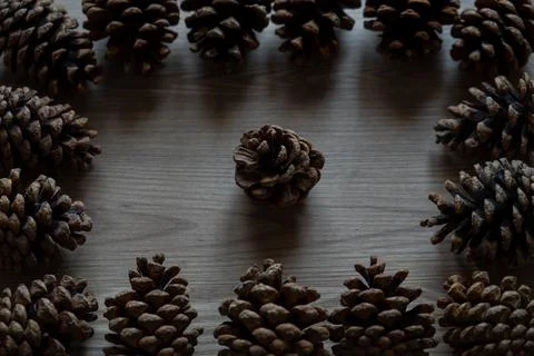 High angle view of pine cones frame on wooden table in dim light. Stock Photos