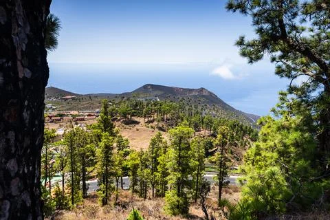 High-angle view of pine forests and San Antonio volcano crater from above Stock Photos