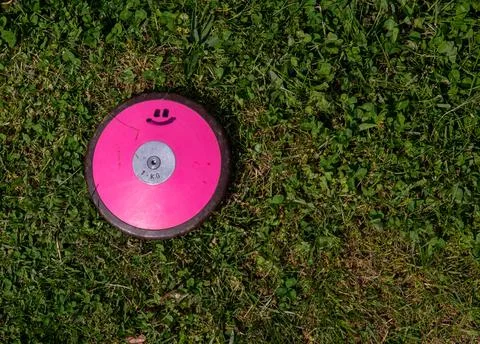 High angle view of pink discus off center in green grass Stock Photos