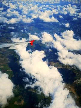 High angle view on the plan. Fotos de archivo