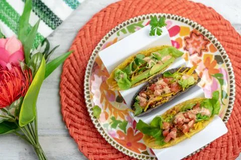 High angle view of plate of tacos Stock Photos