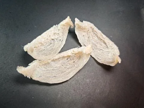 High Angle View of Premium Raw Edible Bird's Nests on Black Background Stock Photos