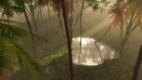 High angle view of puddle in foggy tropical forest lit by beam of light. Stock Illustration