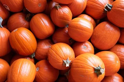High angle view of pumpkins shot from above Stock Photos