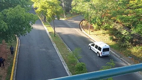 High angle view of quiet avenue Vídeos de archivo 346201919