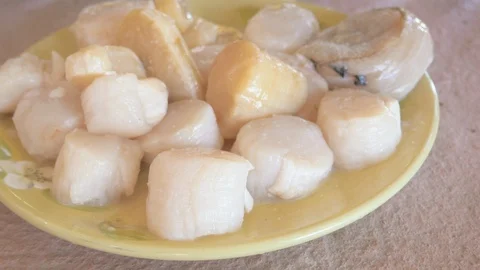 High Angle View of Raw Scallops on a Plate in 4k Stock Footage 99005837