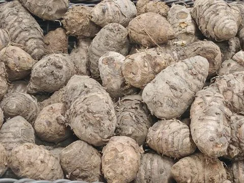 High Angle View of Raw Taro Roots (Colocasia esculenta) Texture copy Stock Photos