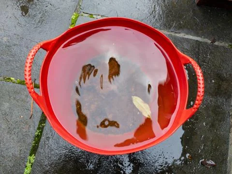 High angle view of a red bucket full of rainwater Stock Photos