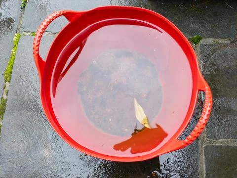 High angle view of a red bucket full of rainwater Stock Photos