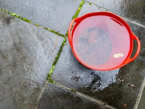 High angle view of a red bucket full of rainwater Stock Photos