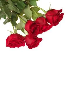 High Angle View of Red Rose Bouquet Isolated on a White Background Stock Photos