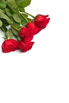 High Angle View of Red Rose Bouquet Isolated on a White Background Stock Photos