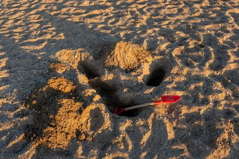 High angle view of red toy spade in dug sand pit on beach Fotos de archivo