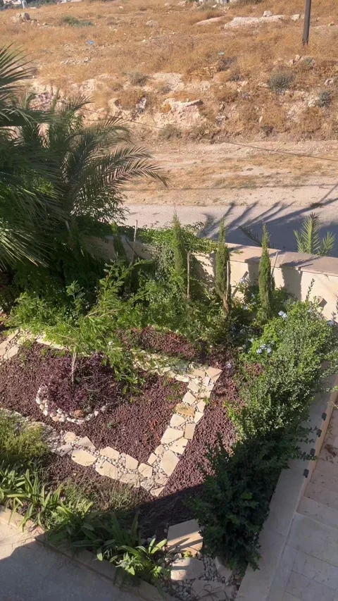 High-Angle View of a Residential Garden and Front Gate Stock Footage 345305612