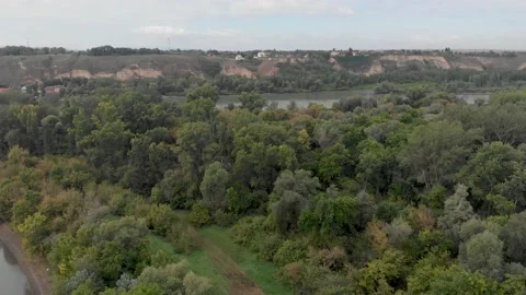 High angle view revealing vast forested area with lush green mixed trees Stock Footage 236961278