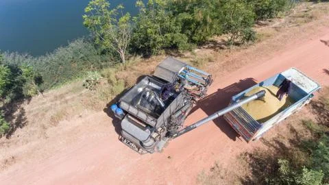 High angle view of a rice farmer loading a truck. Fotos Stock