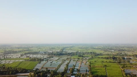 High angle view of rice fields rural thailand Stock Footage 113077108