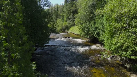 High angle view of river flowing beteen trees Stock Footage 166627611