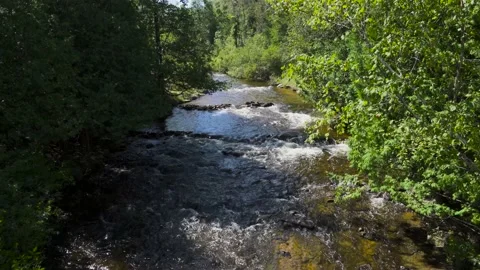 High angle view of river flowing beteen trees Stock Footage 166630198