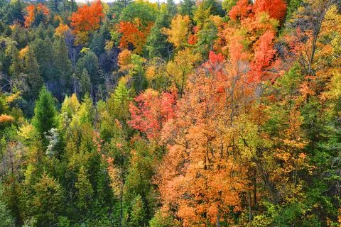 High-angle view of the river valley of the National Park in autumn. The colou Stock Photos