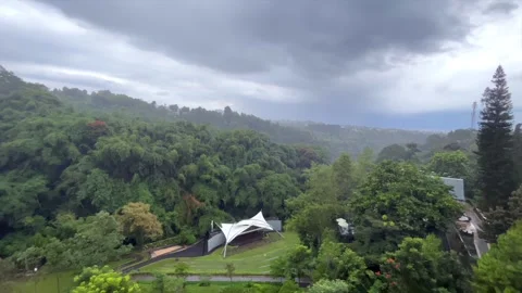 High angle view of a road passing through a lush green urban forest Stock Footage 323724932