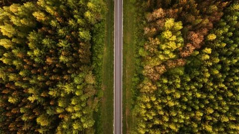 High angle view of a road trough the forest at the sunset with copy space Stock Photos