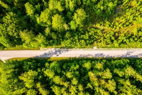 High angle view of a road trough the forest. GErmany, Bavaria, Europe Foto stock