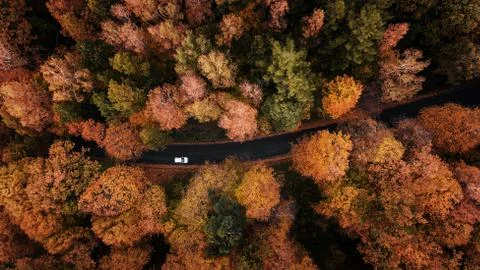 High angle view of a road trough the autumn forest Stock Photos