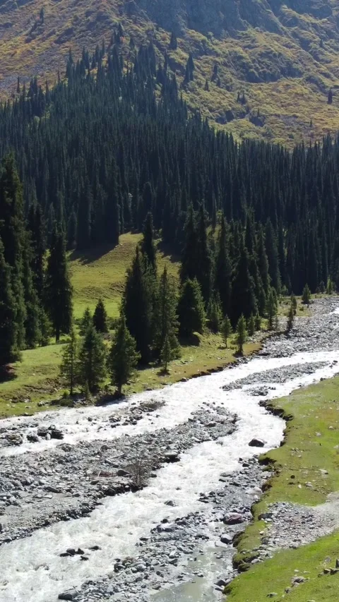 High angle view of roaring mountain river flowing through green meadows Stock Footage 336689816