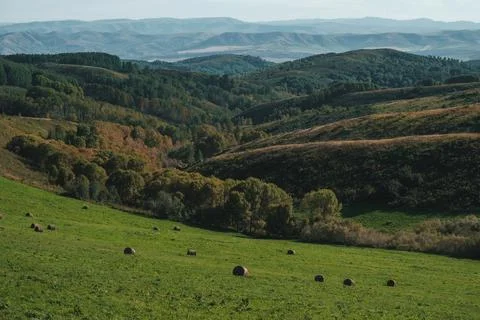 High angle view of a rolling green field with hay bales and autumn forest on  Фото