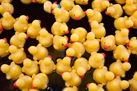 High angle view of rubber ducks floating on water Foto stock