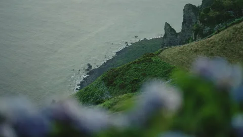 High-Angle View of Rugged Volcanic Cliffs and Rocky Atlantic Coastline with 動画素材 335005968