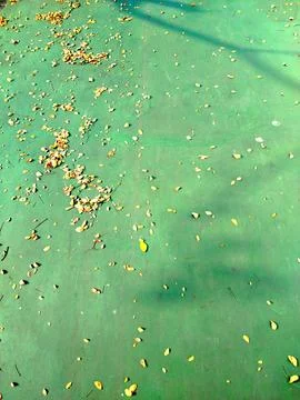 High angle view of scattered dry yellow leaves on a concrete floor. Stock Photos