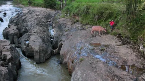 High Angle View of a Scenic River with Unique Rock Formations and Small Waterfal Stock Footage 329502812