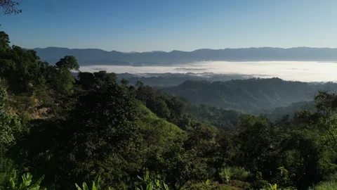 High angle view of sea of clouds over mountain valley with lush green fores.. Video stock 345653233