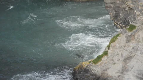 A high angle view of a seal swimming towards the sea shore. Stock Footage 276978326