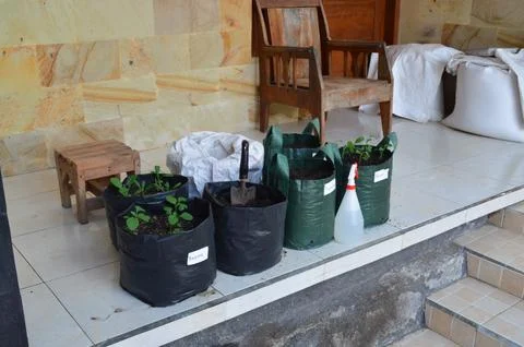 High Angle View of Seedling Transplanting Setup and Equipment Stock Photos