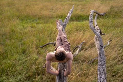 High angle view of shirtless man sitting on log over grassy land in forest Stock Photos