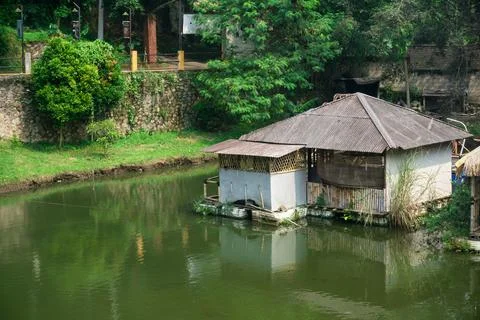 High angle view of a simple floating house or wooden hut on a green pond su.. Stock-Fotos
