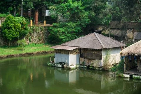 High angle view of a simple floating house or wooden hut on a green pond su.. Foto stock