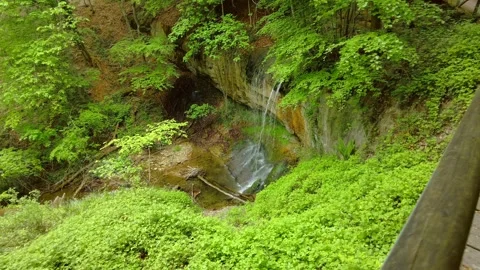 High angle view of a small forest waterfall flowing from a rocky cliff Stock Footage 334867804