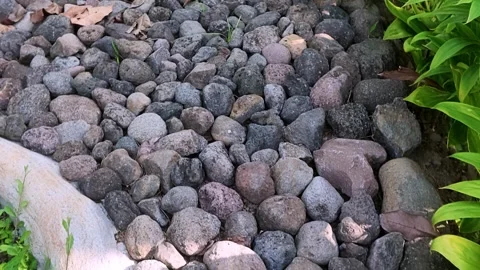 High Angle View of Small River Rocks and Pebbles Stock Footage 340569631