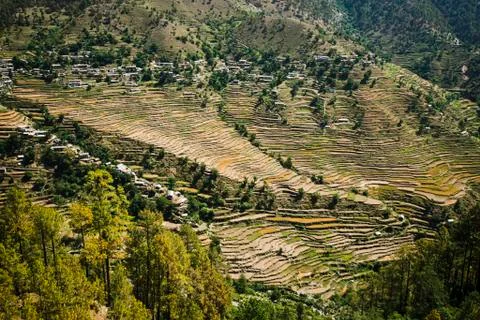 High angle view of small village with terraced field, uttarkashi district, ut Stock Photos
