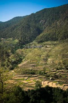 High angle view of small village with terraced field, uttarkashi district, ut Stock Photos