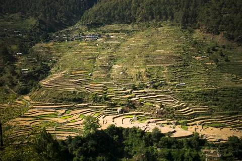 High angle view of small village with terraced field, uttarkashi district, ut Stock Photos