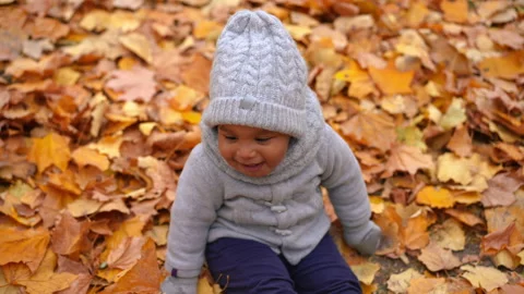 High angle view smiling African American boy sitting in yellow leaves in autumn Stock Footage 221361362