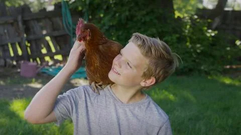 High angle view of smiling boy petting rooster on shoulder in backyard 库存照片
