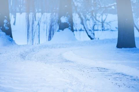 High angle view snow background. Winter landscape with snow. Фото